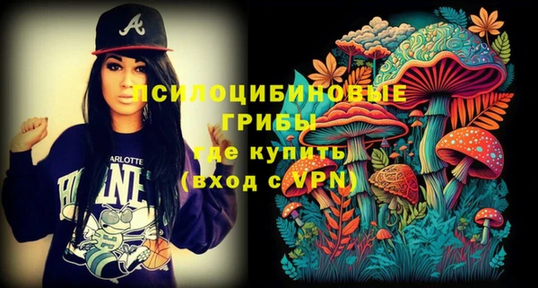 кокс Алексин