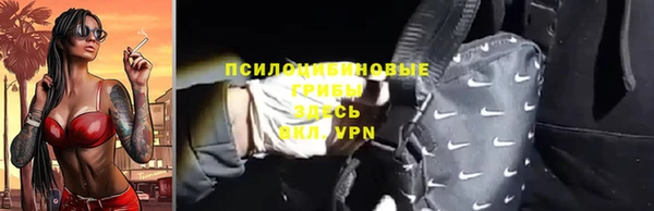 кокс Алексин