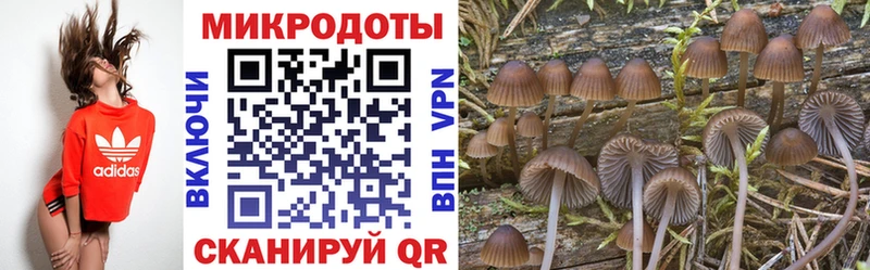 наркотики  blacksprut вход  Галлюциногенные грибы Psilocybe  Волжский 